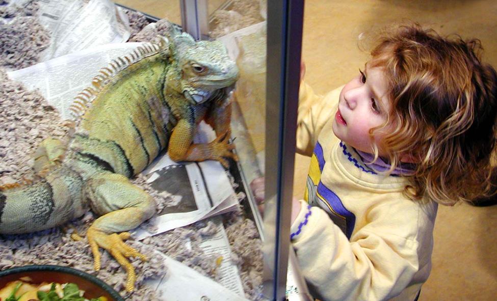 Darien Nature Center