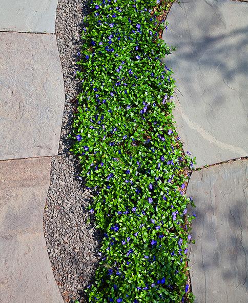 Driveway Chic