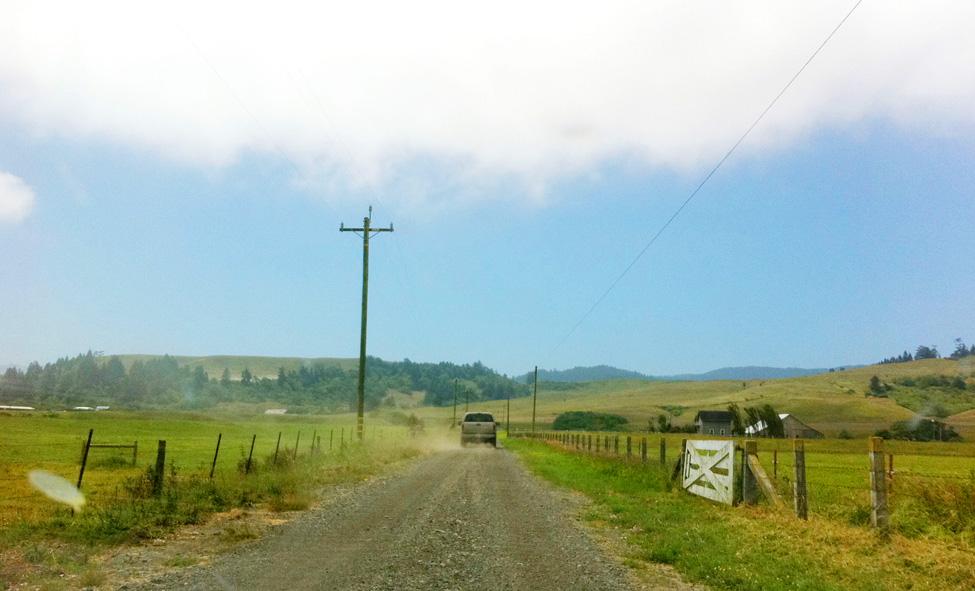 Pacific Coast Homestead